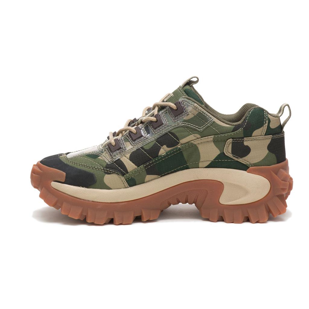 Buty Codzienne Caterpillar Intruder Damskie Camo | EZDWC-3725