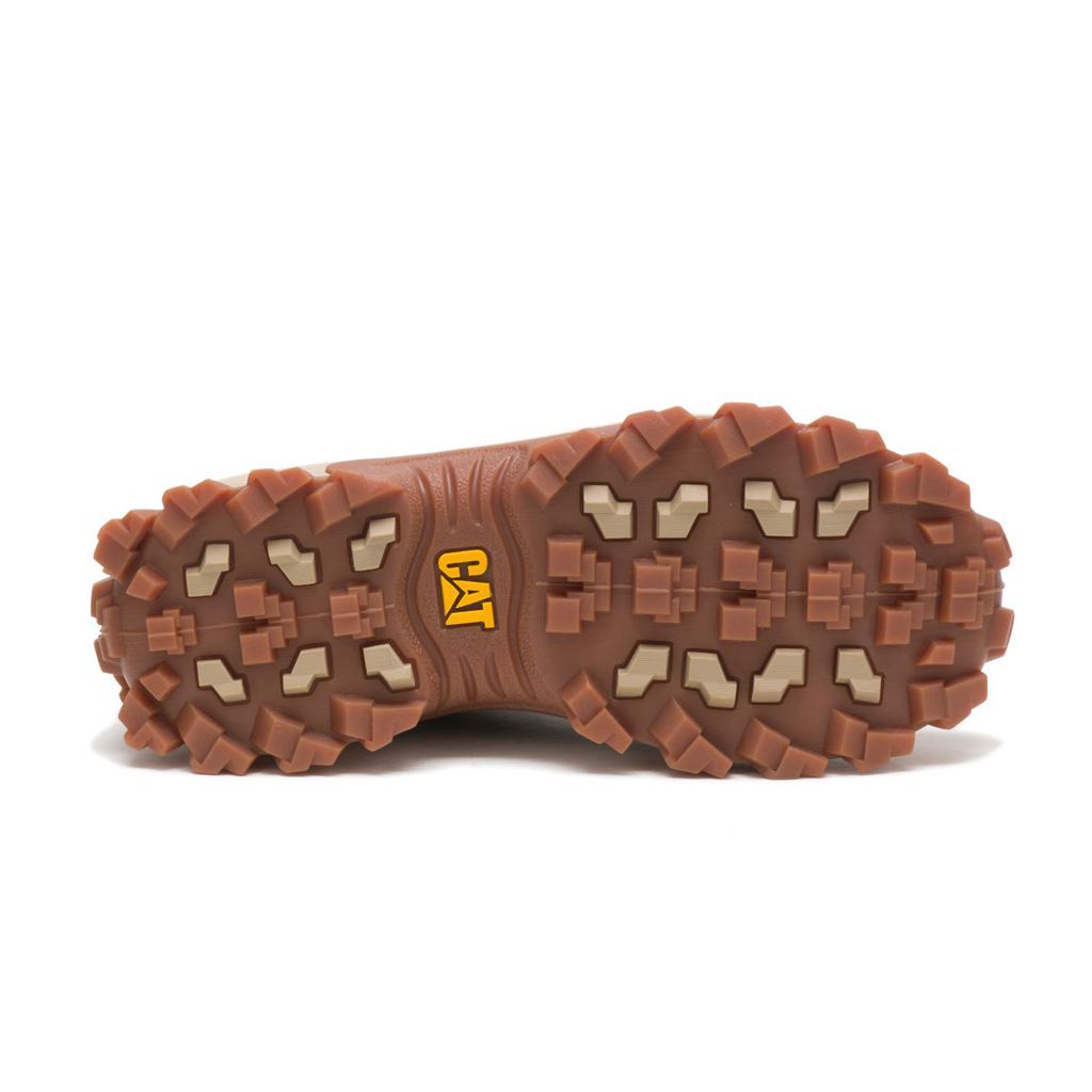 Buty Codzienne Caterpillar Intruder Damskie Camo | EZDWC-3725