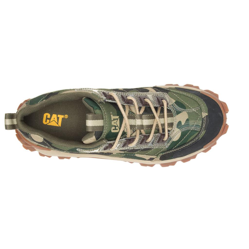 Buty Codzienne Caterpillar Intruder Damskie Camo | EZDWC-3725