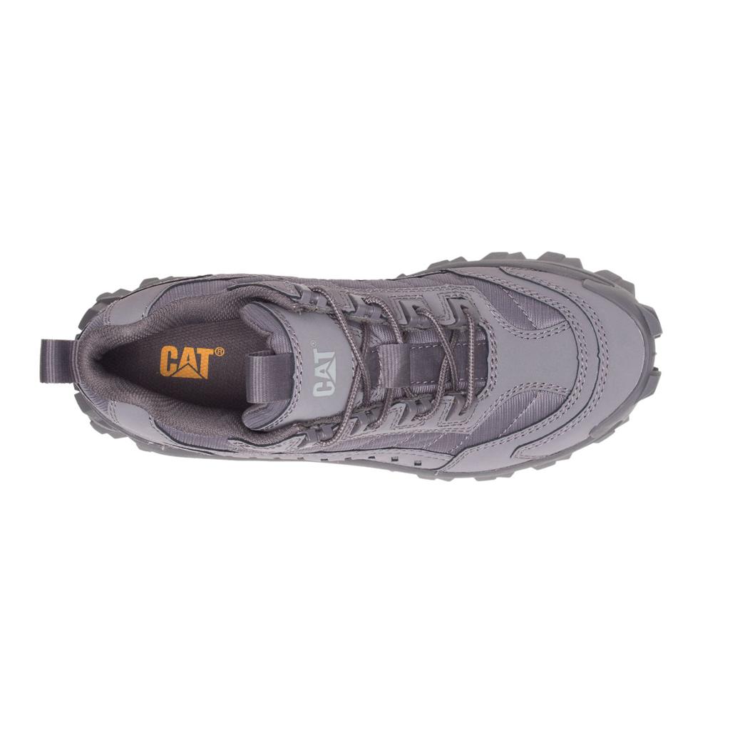 Buty Codzienne Caterpillar Intruder Damskie Szare | NBJHC-2863