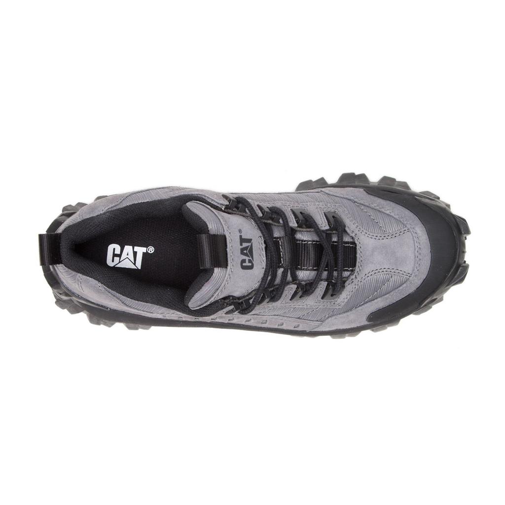 Buty Codzienne Caterpillar Intruder Damskie Jasny | NLXFW-6123