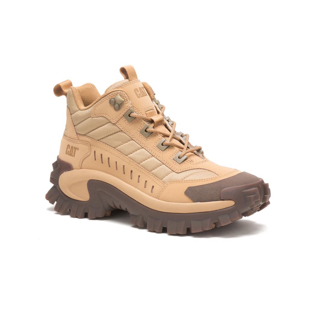 Trampki Caterpillar Intruder Mid Damskie Khaki | WTQEU-9417