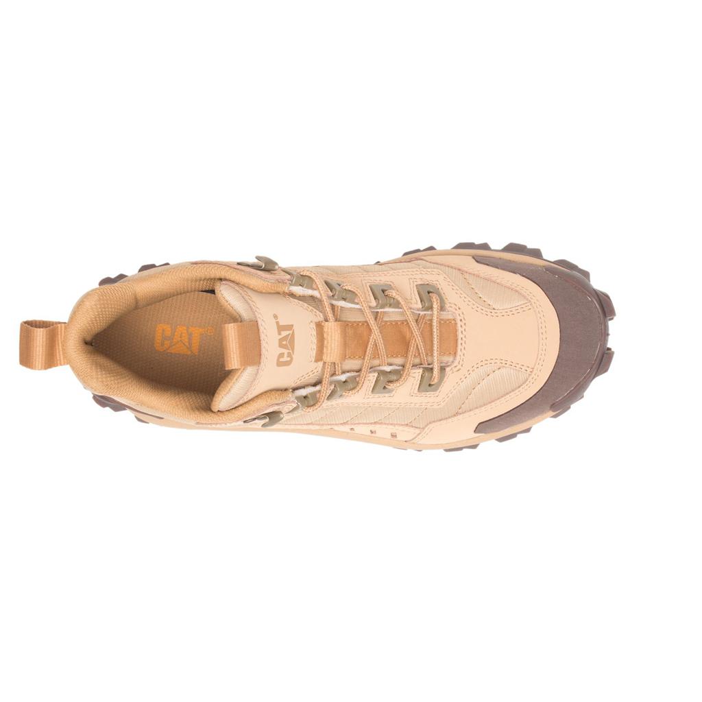 Trampki Caterpillar Intruder Mid Damskie Khaki | WTQEU-9417